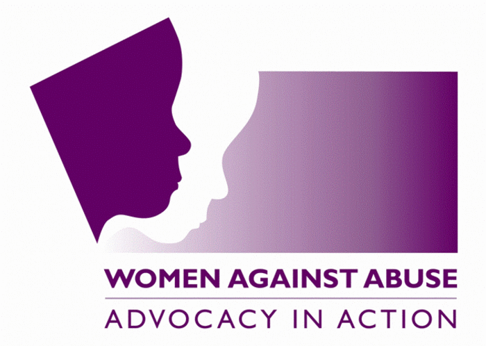 Become the Vice President of Finance for Women Against Abuse!