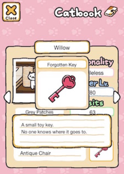 Common clutter items: unidentified keys and cords