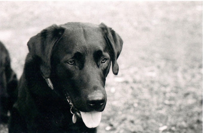 Some Quick, Low-Effort Ways to Improve Focus