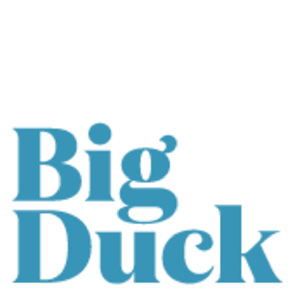 Do you want to be a Strategist at Big Duck? See if this is the best position for you.....