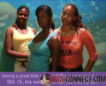 This one is serious ya