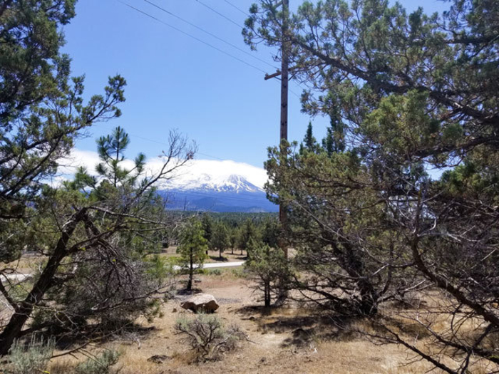 Award Winning Gumbo for the Soul Anthology Publisher Acquires Land for Philanthropy Use