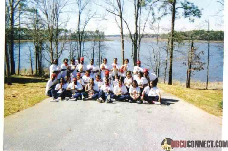 Delta Sigma Theta Sorority, Inc.