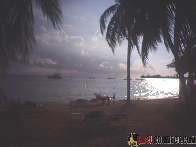 Guess Whoz Bizzack!!!!