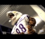 HBCUConnect Goes To Tennessee State Homecoming 2011 