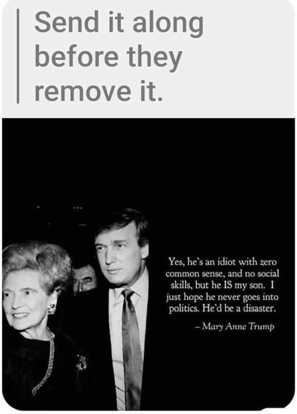 ~ "The Master Idiot - A Disaster!" ~