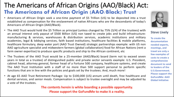 This will change Black  folks lives! All you have to do is support the GoFundMe: AAO Global Initiative 