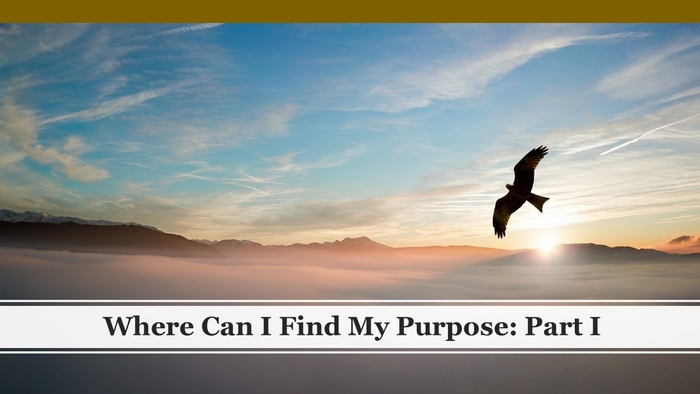 Where Can I Find My Purpose: Part I