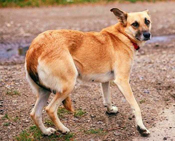 It Takes Courage To Speak The Truth, The Reason Many Are Scared