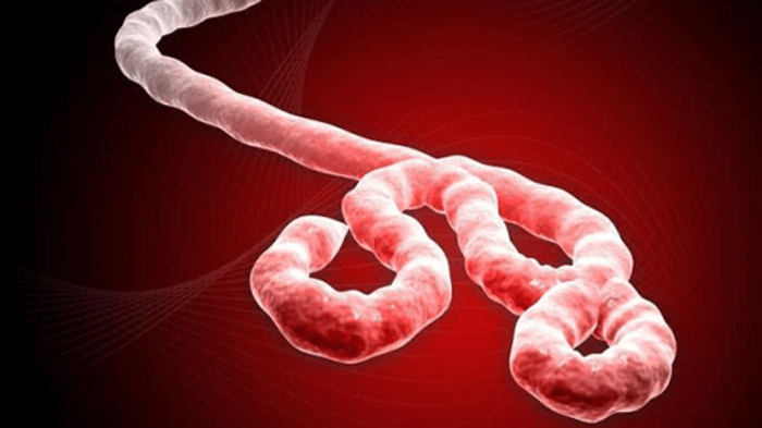 Why Governments Worried About Fake News But Not About False Health Articles