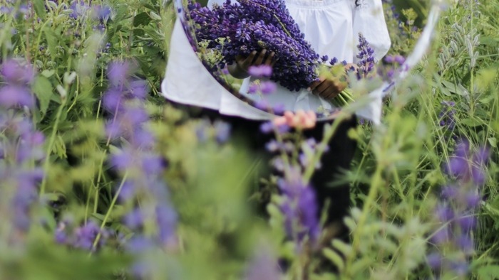 Look In the Mirror You