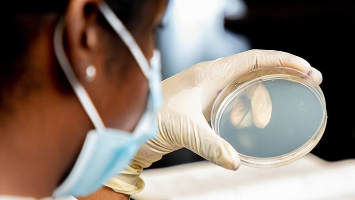 UNCF and 10,000 Degrees� Establish $180,000 Scholarship Fund with Biotech Company Amyris