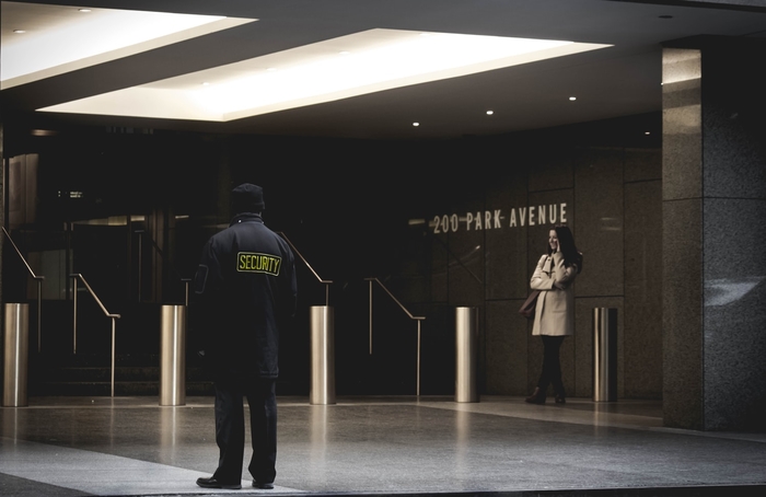 4 Career Ideas if You Want to Work in Public Service