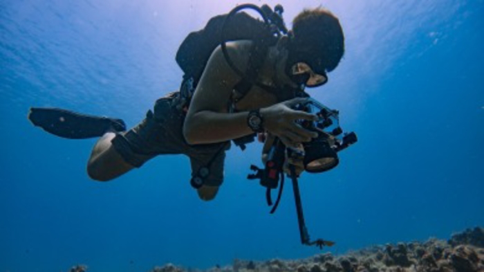 UVI Receives $1M National Science Foundation Award to Support Marine Science Graduate Students and Workforce Position