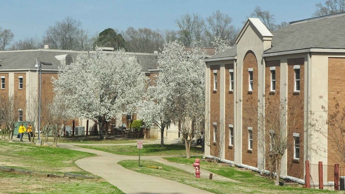 A Stellar Year for Professional and Graduate School Acceptance for School of Natural Science Graduates