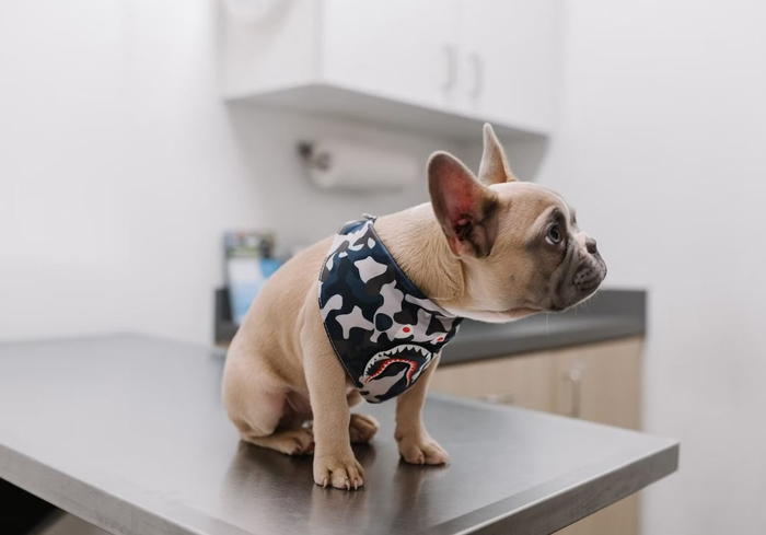 5 Careers to Consider That Only Require an Associate