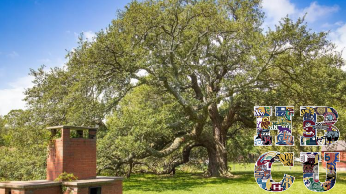 HBCUs Carry the Weight of History