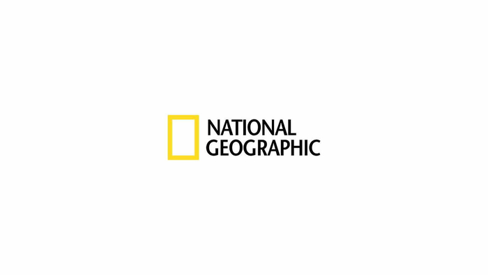 National Geographic Content Announces Seven Scholarship Recipients From Historically Black Colleges and Universities (HBCUs)