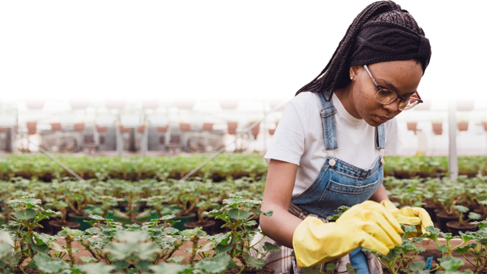 HBCU Fellowship Empowers Students to Become Ag-Tech Impact Investors