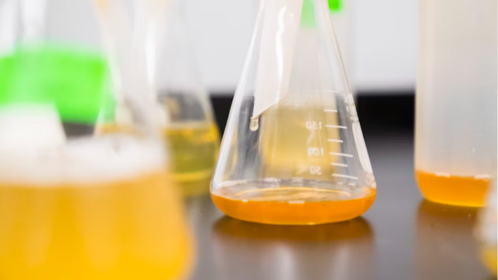 Businesses You May Not Have Known Exist