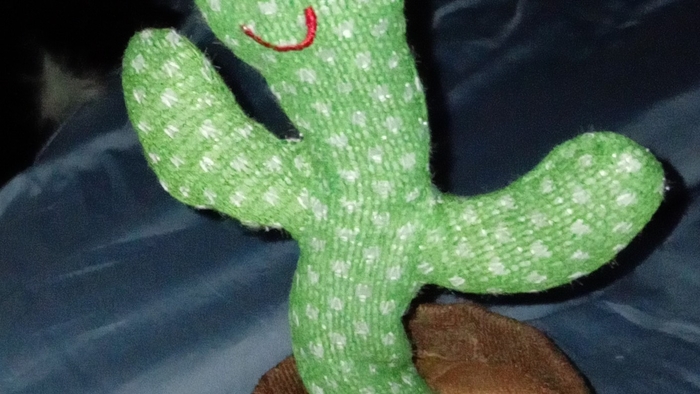 Must invest in Dancing CactuS