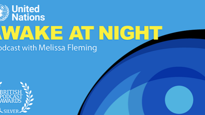 What does it take to be a United Nations worker in some of the world�s most difficult and dangerous locations?