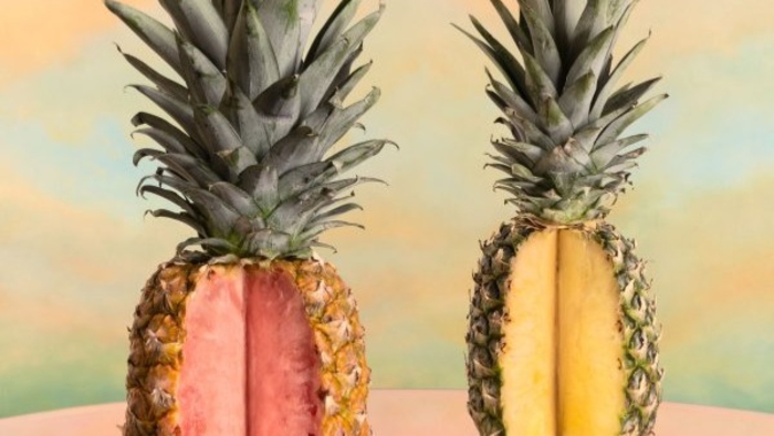 Are GMOs Safe? Breaking Down the Science of Science-ified Foods