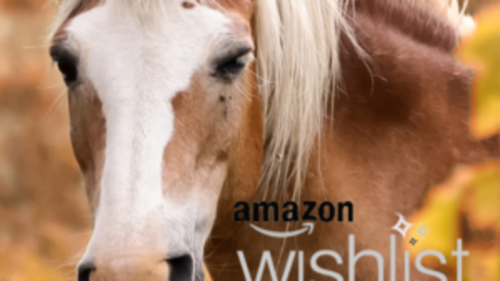 Help Make Our Horses� Wishes Come True