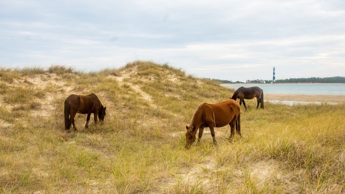 HIKE MORE MILES THAN YOU DRIVE TODAY