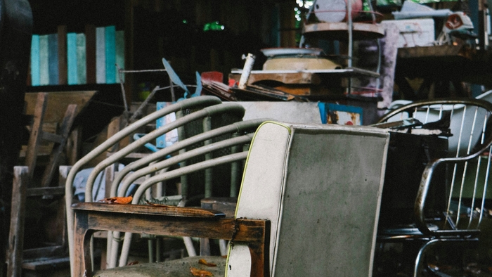 Essential Home Tips to Combat Flea Infestations