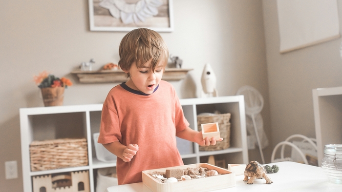 5 Compelling Reasons to Choose Montessori Education for Your Child: Is It the Perfect Match?