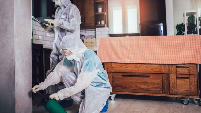 Why Engaging Professional Pest Control is Crucial