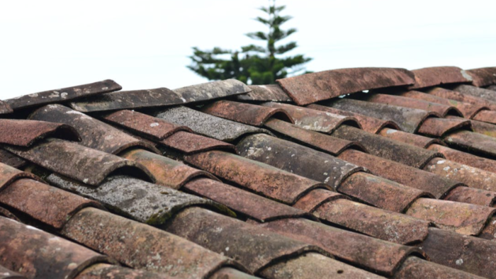 6 Things You Must Know About Roof Coating