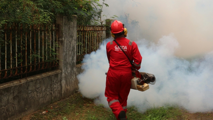 6 Essential Tips to Keep Your Home Pest-Free