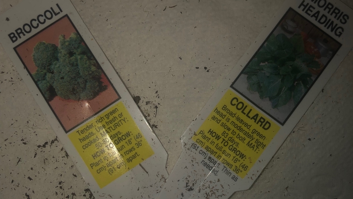 Whats on the menu for Thanksgiving