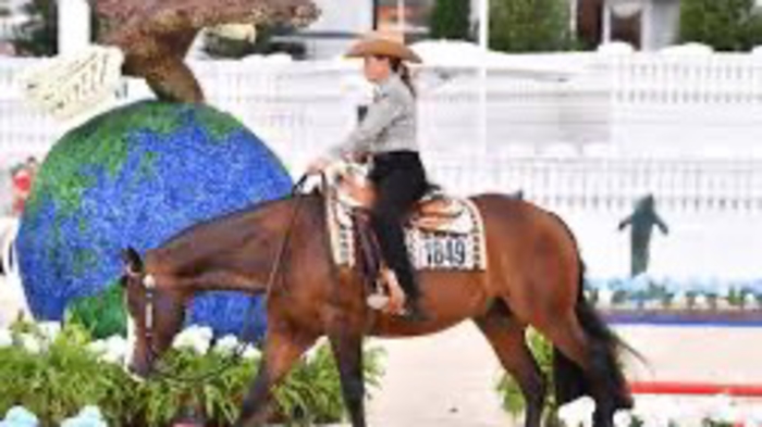 2024 WDAA World Championship Show  Guthrie, OK. Lazy E Arena, September 18-22, 2024