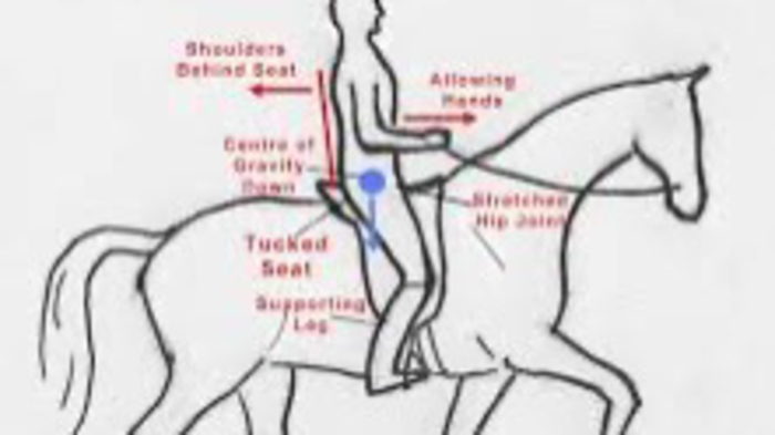 Soo before you visit Salamanders Resort & Spa learn a new way of Riding<