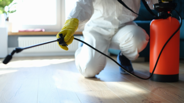 4 Ways to Cut Costs When Purchasing Pest Control