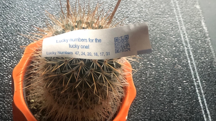 All about these NUMBERS 