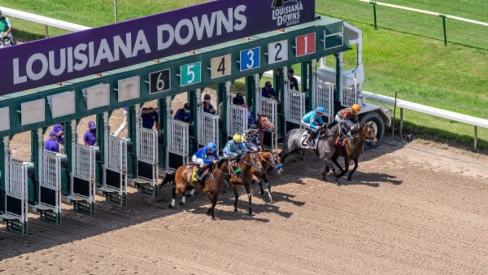 Thick and Rich ~ The roads are talking and they say � Give us a minute �Roads need love too�