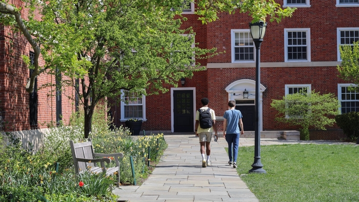 Yalies navigate election anxiety