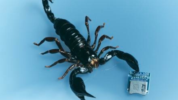 Whooooo a Scorpio that