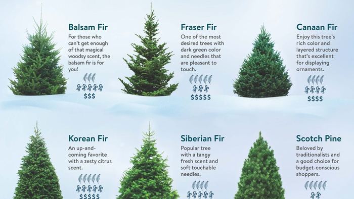 Yesterday is but a lesson an experience yes a result Yesderday is less than todaY