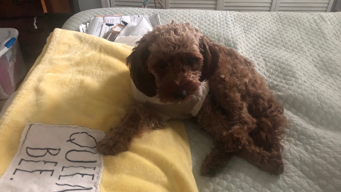 Be on her Holiday cool mode