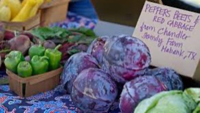 We/Me See the Paul Quinn College Farm