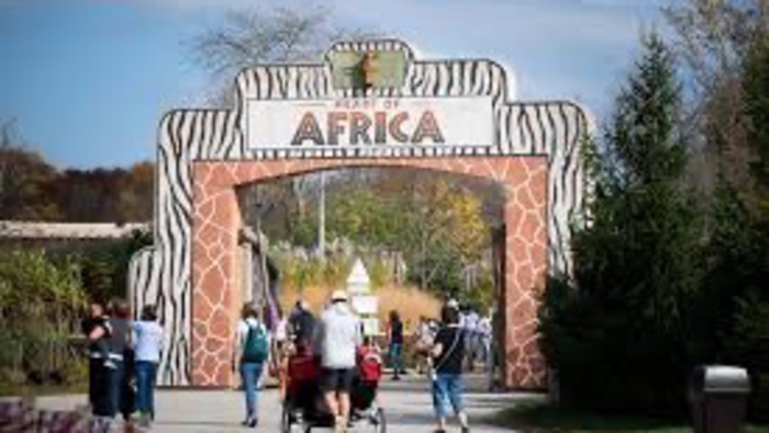 Visit the nucleus of Black Beige Brown Mocha Red History Herstory AFRICA