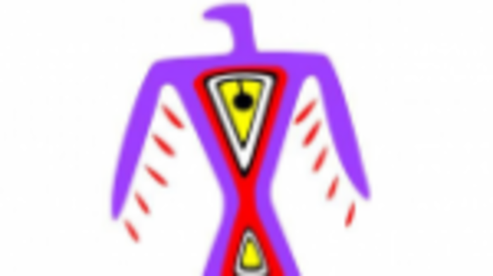 The Native American Childrens Fund has room to grow in the minds of the HBCU Natives