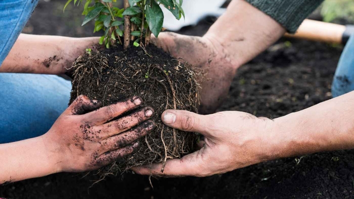 5 Reasons to Sign Up for Arborist Classes