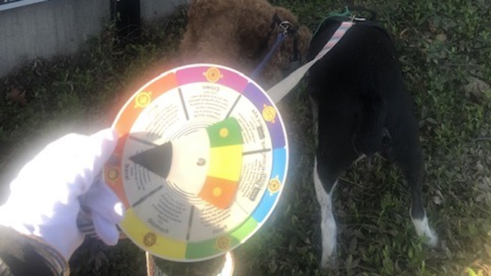 A very merry Birth Month to our April Farmers