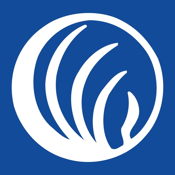 HOW  SAFE MESSAGING AROUND MENTAL HEALTH & SELF-INFLICTED DEATH AS BEST PRACTICES FOR JOURNALISTS-FREE CLASS!